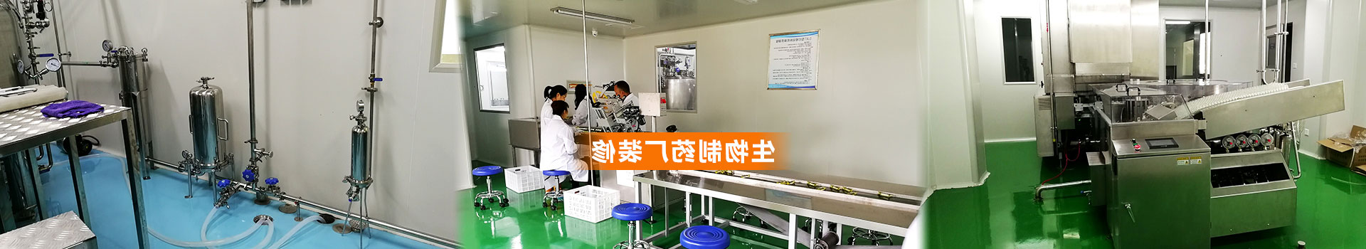 醫(yī)藥制藥廠污水處理站工藝流程
